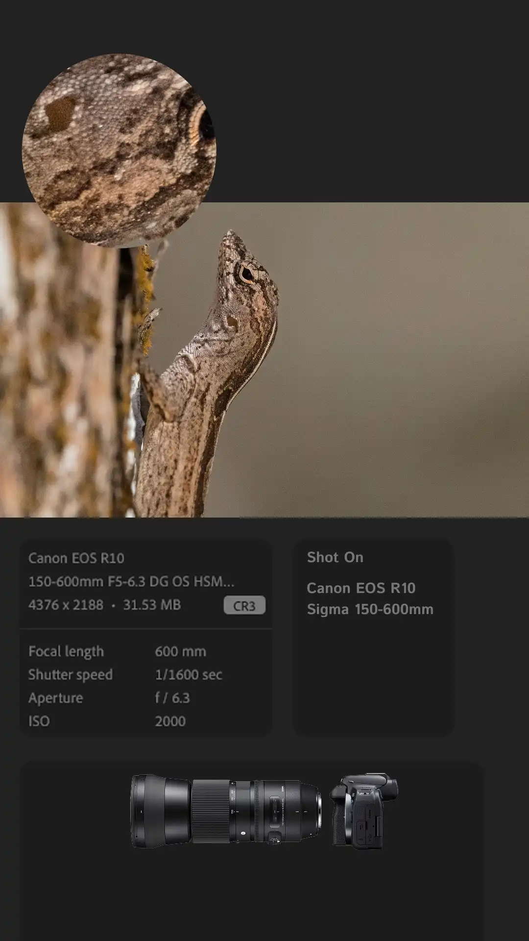 Photography Presentation UI — slide 1