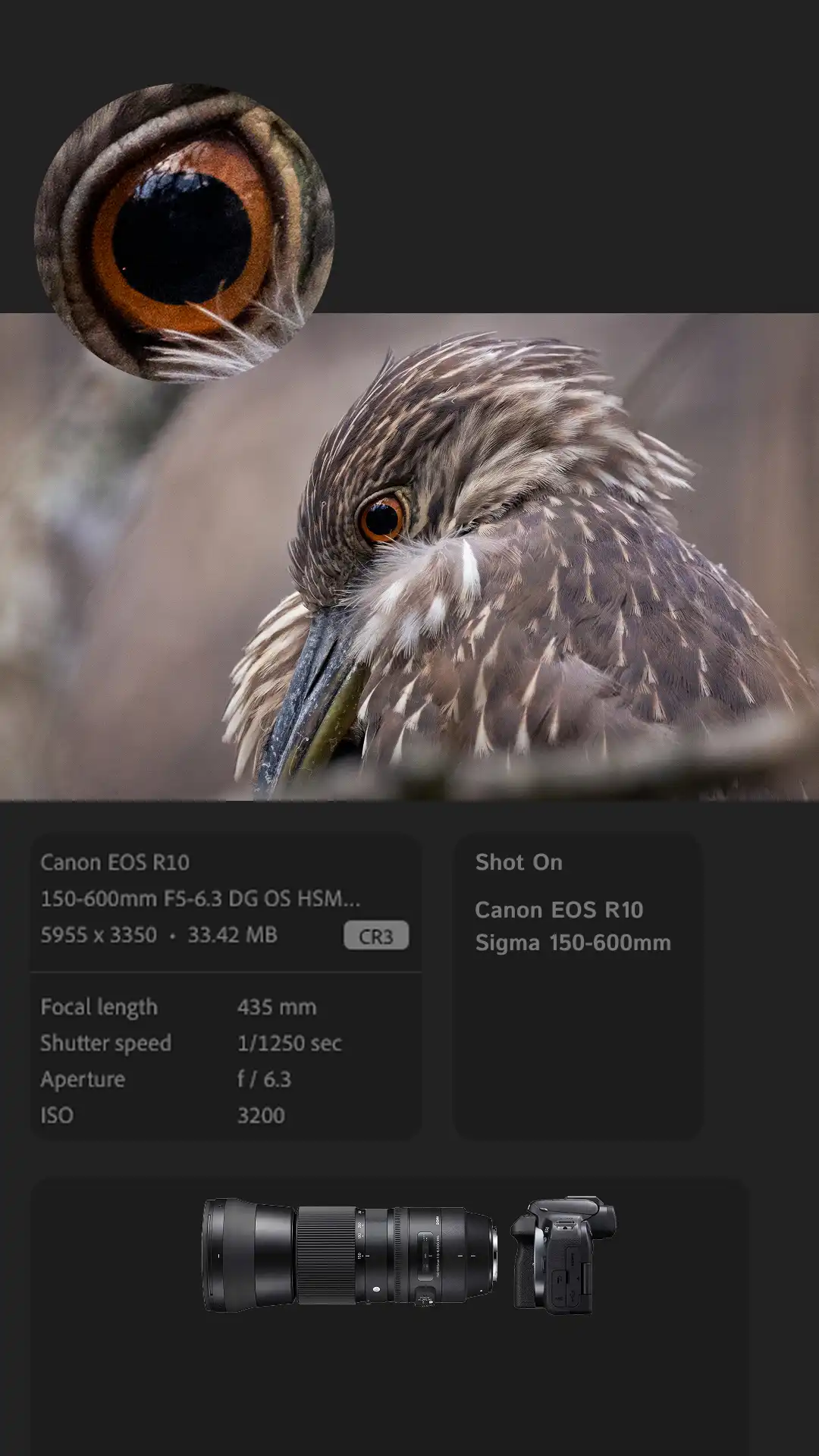 Photography Presentation UI — slide 2