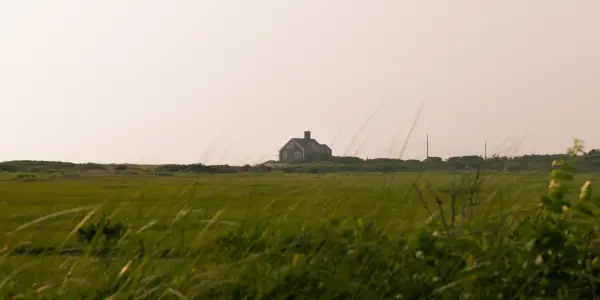 A view from black beach marsh at low tide