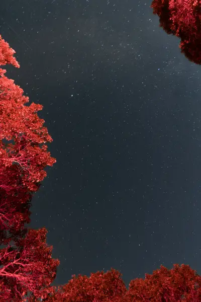 Night photography on cape cod, Bortle 2 with a f/4